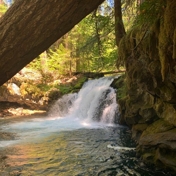 Meet your Posher, April - Picture 4 of 5